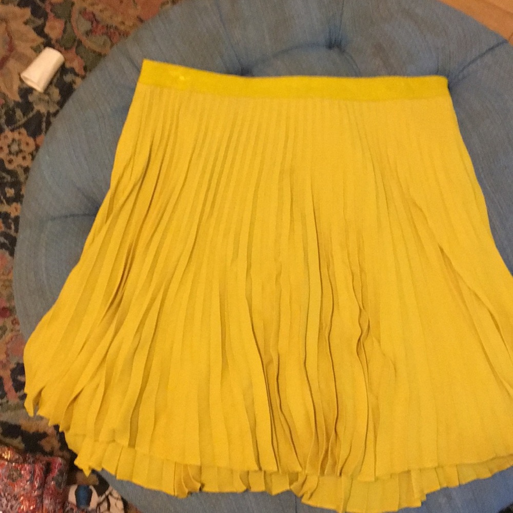 AnnTaylor Loft pleated Skirt